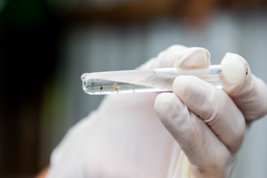 Estado investiga possível primeiro óbito de canoense por dengue