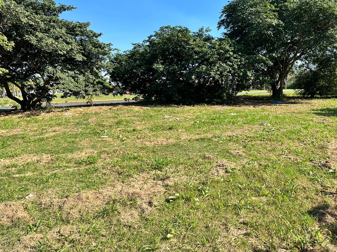 2 Área de Preservação do Arroio Guajuviras, Canoas Divulgação Forte Atacadista