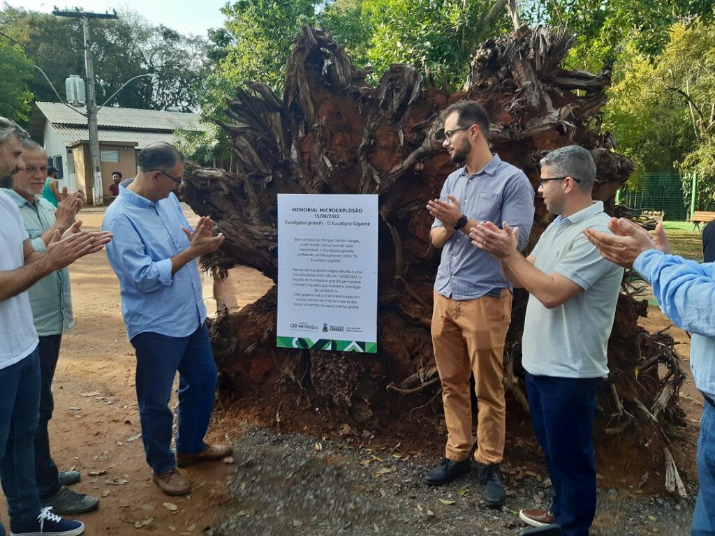 Ambiental Metrosul e Secretaria Municipal de Meio Ambiente revitalizam área no Parque Getúlio Vargas/Divulgação Metrosul