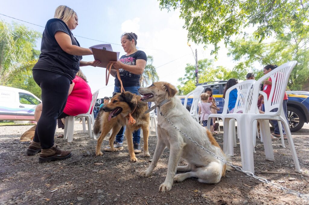 Castramóvel realiza atendimentos no bairro Niterói a partir de terça-feira, 11/Foto: Gustavo Garbino