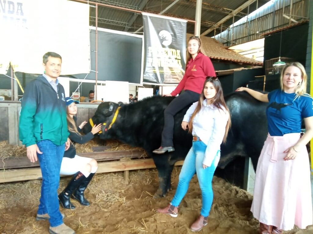 Búfalos na fazenda escola da Ulbra