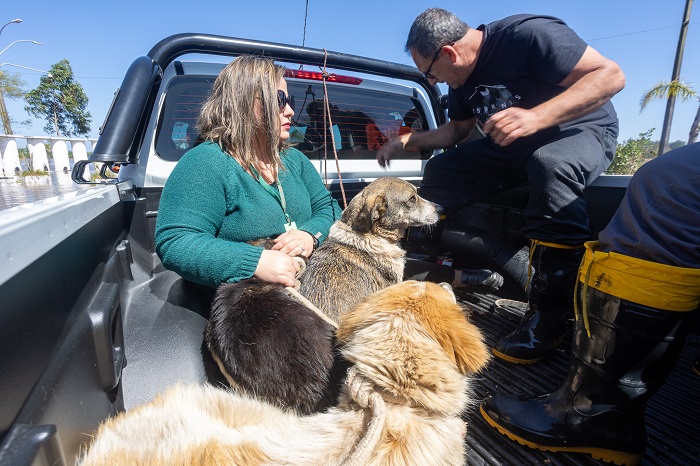 defesa Civil resgata cães na Praia do Paquetá -  Foto: Thiago Guimarães