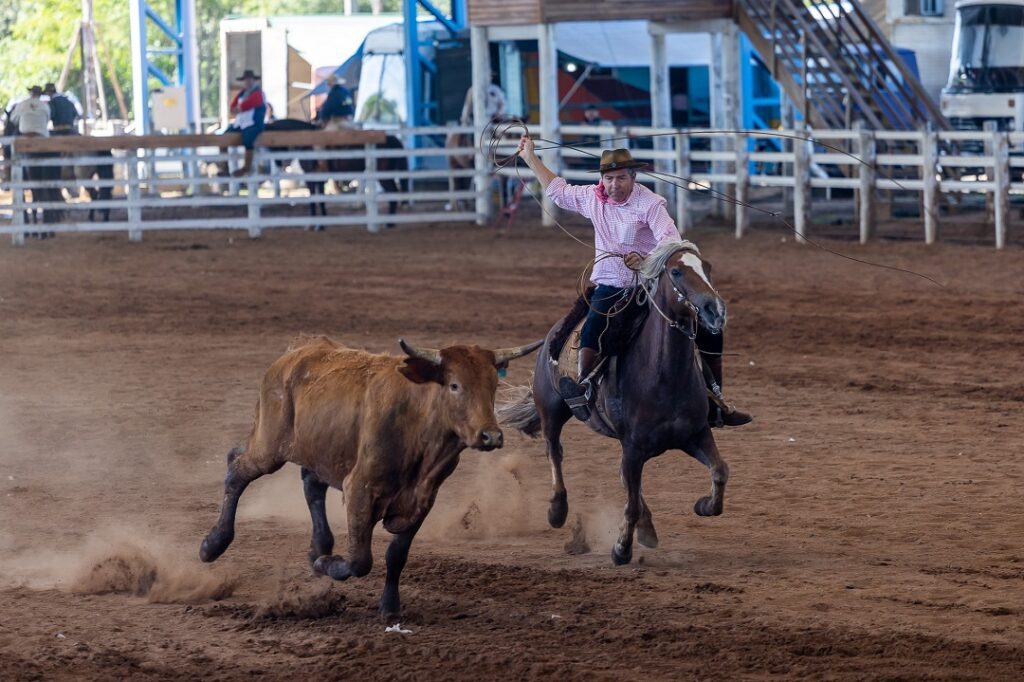 Provas de Laço do 17º Rodeio Farroupilha de Canoas reúnem mais de 500 laçadores em três dias - Foto: Guilherme Pereira