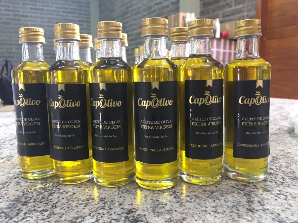 Rio Grande do Sul produz dez das 12 marcas brasileiras de azeite consideradas melhores do mundo