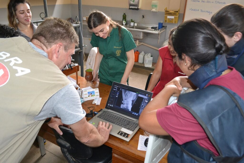 TRADIÇÃO NO ENSINO: Veterinária da Ulbra faz 30 anos com muita inovação e tecnologia