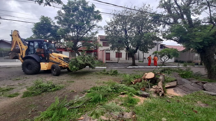 Árvores caíram durante temporal - Foto: Marcelo Grisa/OT