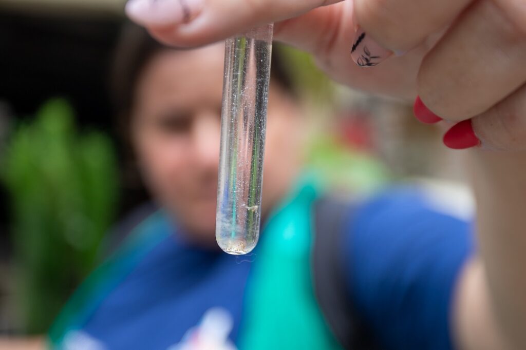 Passam de 900 notificações de casos de suspeita de dengue em Canoas