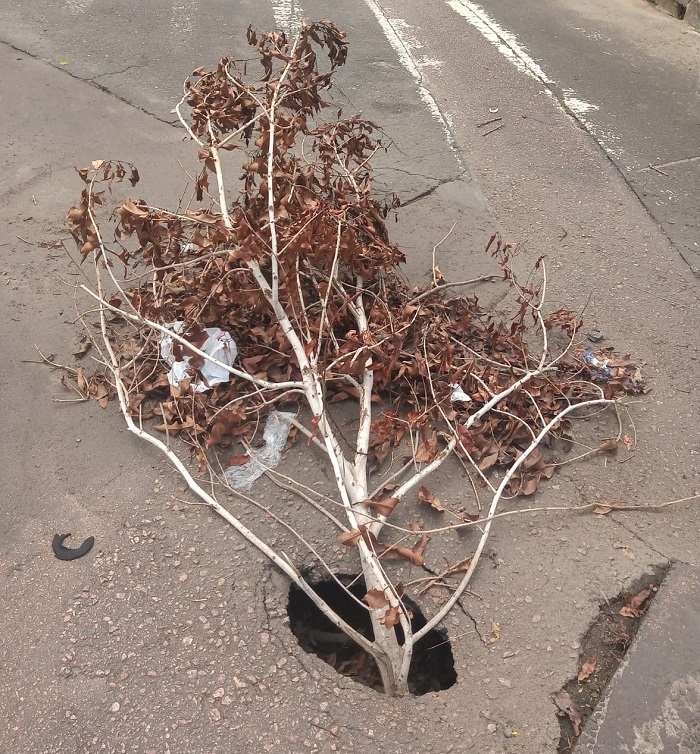 Buraco na rua Rio de Janeiro - Foto: O Timoneiro