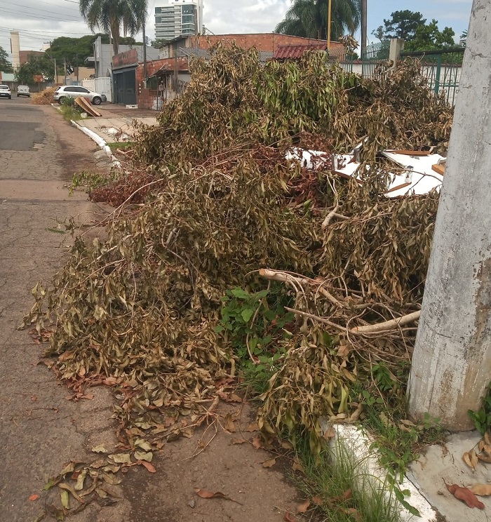 Galhos caídos rua Rio de Janeiro - Foto: O Timoneiro