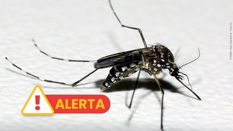 Centro Estadual de Vigilância em Saúde emite alerta epidemiológico para dengue e chikungunya