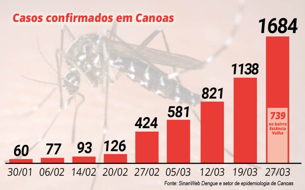 Casos de dengue aumentam 48% em oito dias em Canoas - O Timoneiro