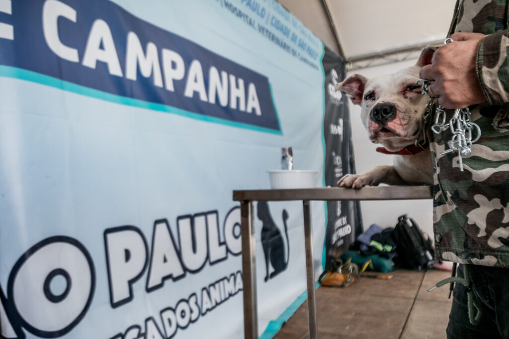 Hospital Veterinário de Campanha poderá atender até 700 animais resgatados por semana em Canoas - Foto: Bruna Ourique