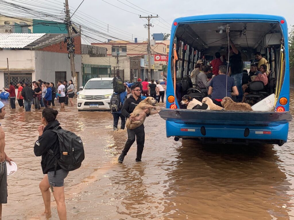 DESASTRE NO RS: Número de mortes chega a 66; Jairo Jorge afirma que dois óbitos ocorreram em Canoas