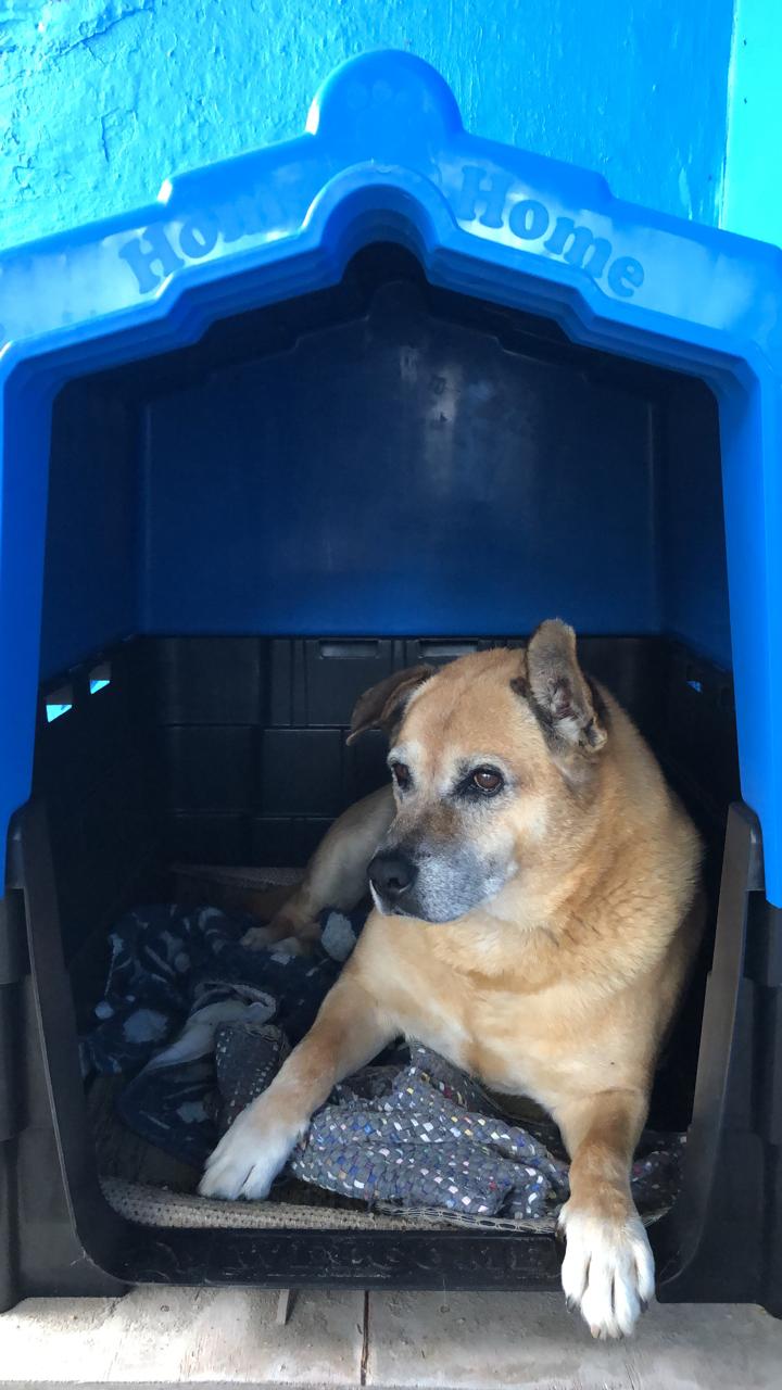 "Mathias Velho: o bairro que cresci no epicentro do fim do mundo" (por Fernanda Nascimento)