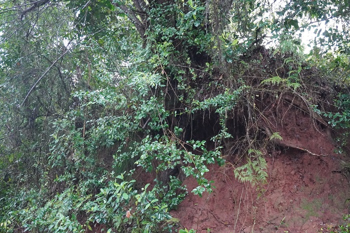 Casas são interditadas em Nova Santa Rita após deslizamento de terra no bairro Berto Círio