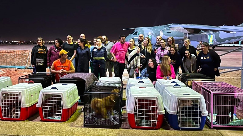 Governo do RS e Força Aérea Brasileira oferecem transporte gratuito para estimular adoção de animais resgatados -Foto: Divulgação Grupo de Resposta a Animais em Desastres