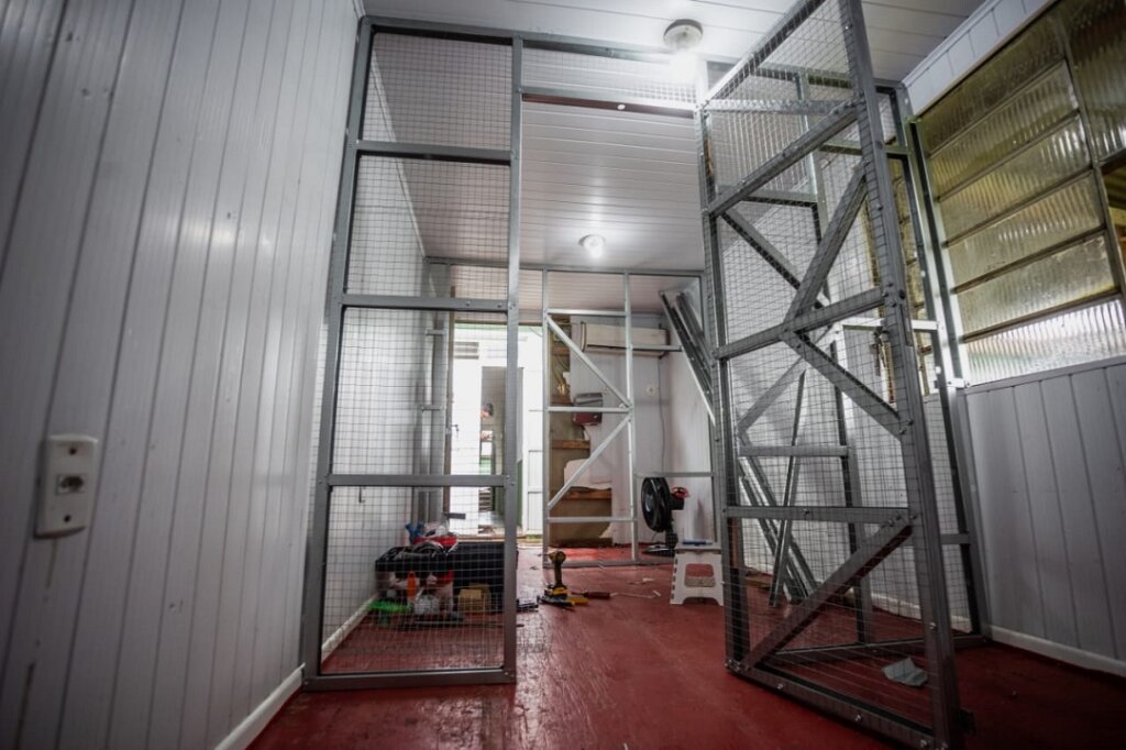 Secretaria de Bem-Estar Animal de Canoas finaliza ampliação de espaço para gatos