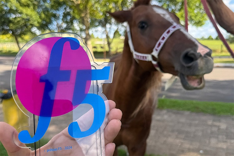 Símbolo de resistência da enchente em Canoas, Cavalo Caramelo recebe troféu Bicho do Ano