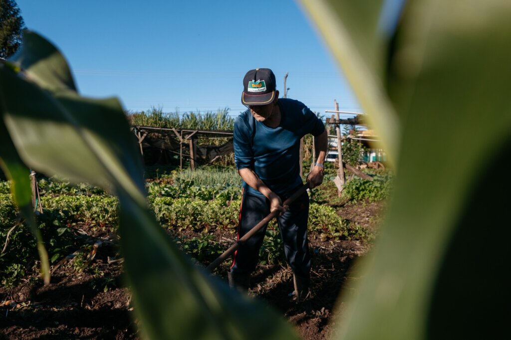 Horta comunitária no Harmonia é reconstruída após a enchente de 2024