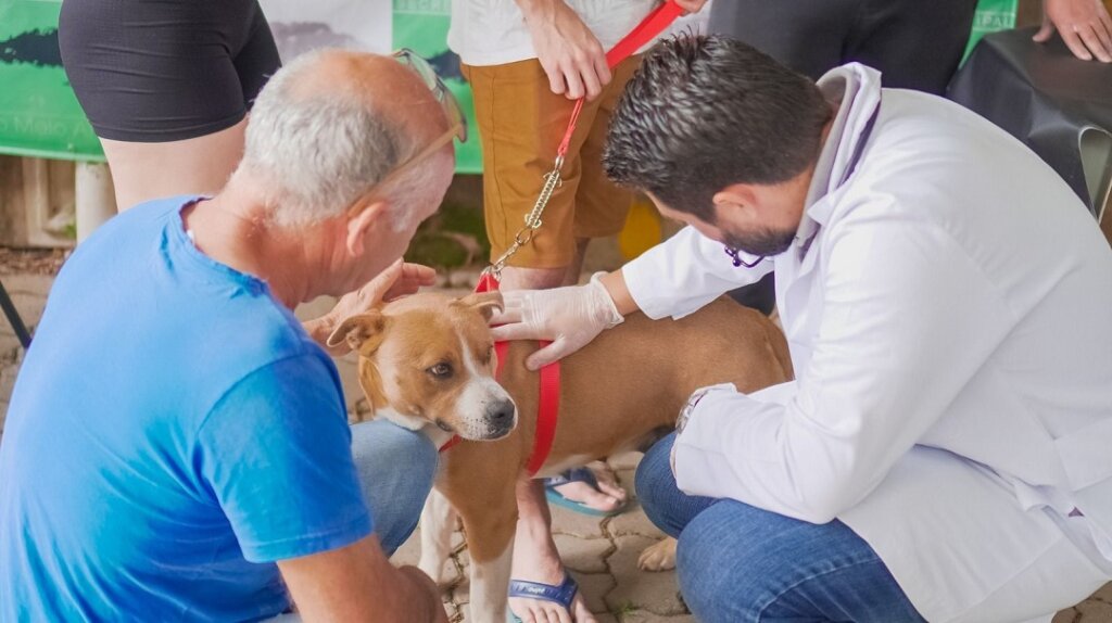 Nova Santa Rita leva atendimento veterinário gratuito ao Loteamento Popular no sábado, 14
