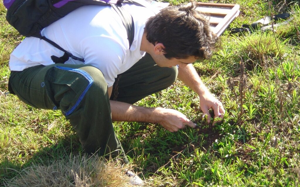 Ulbra integra estudo que monitora espécie de abelha invasora