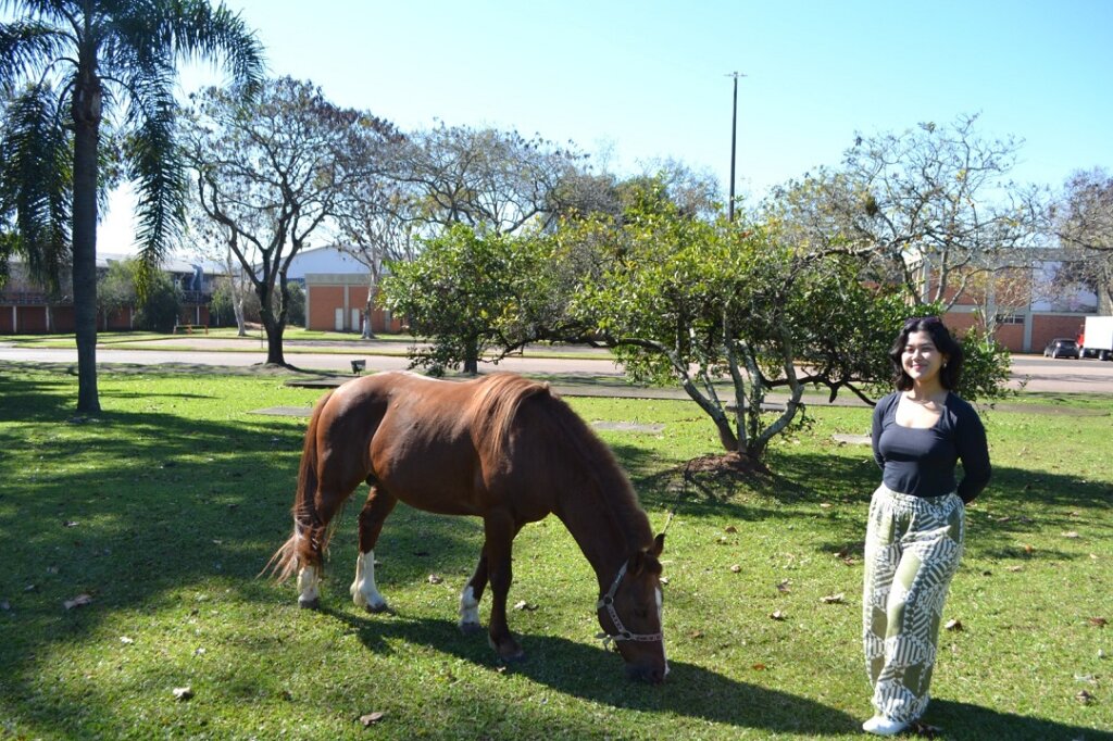 Cavalo Caramelo vira símbolo em estudo internacional sobre catástrofe no RS  