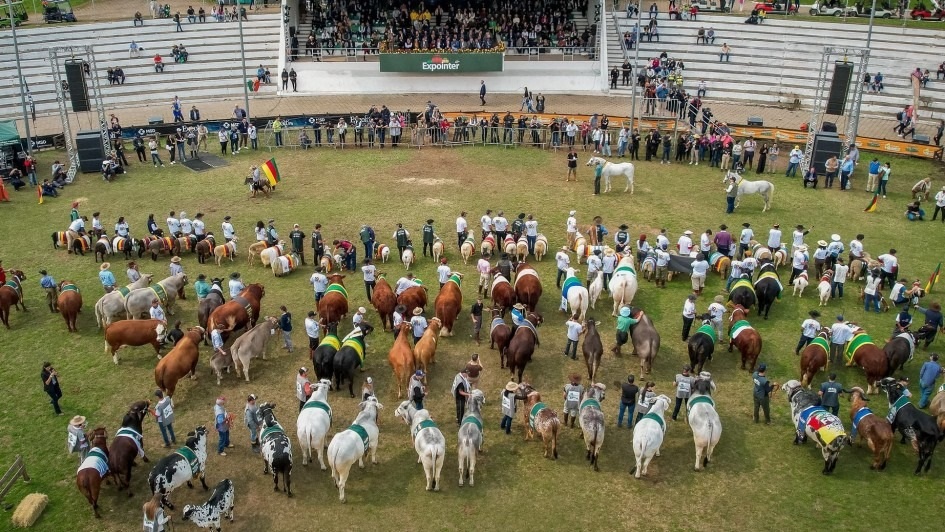 Expointer 2025 terá participação de 6.696 animais