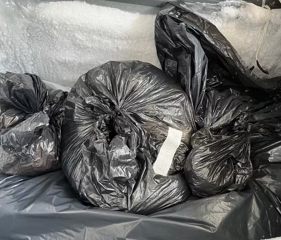 Polícia aponta que ex-secretária de Canoas autorizou o dobro de eutanásias em cães e gatos do que foi registrado oficialmente